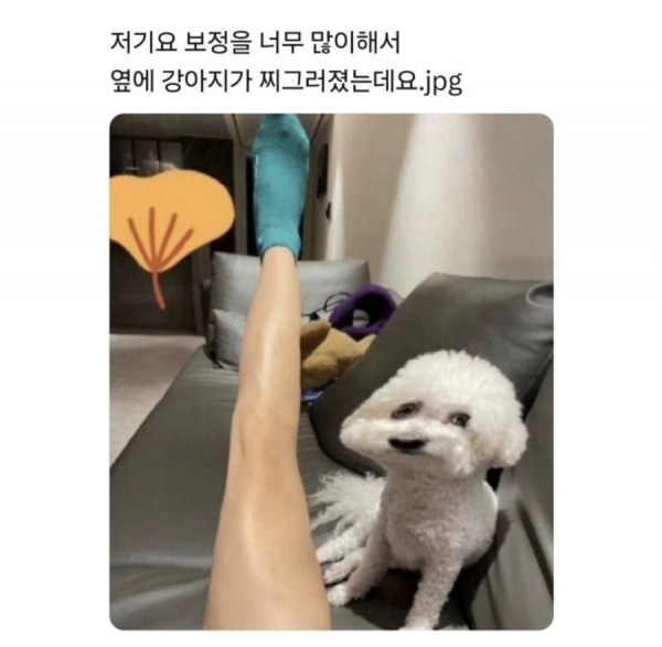 639aadb814b26e1aa580f713fcd097ee_1751018726_883.jpeg