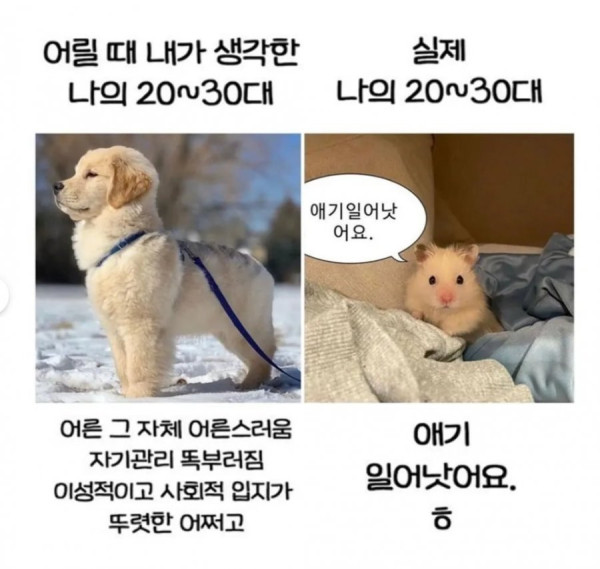 a8d241f6fe3dd78045f814392b0f31fe_1749474364_7978.png