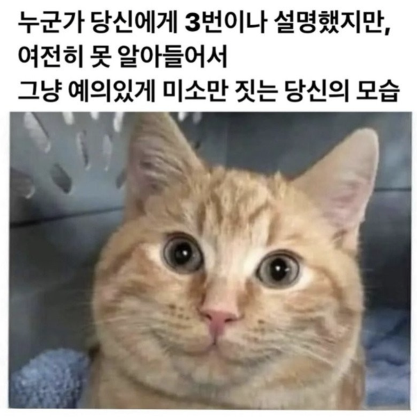 25e30484ee0d4ff7f3e976a8f0efbcae_1759211106_454.png