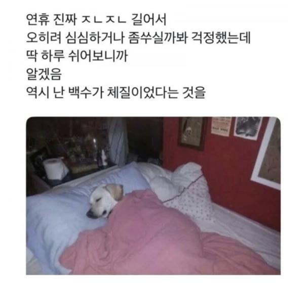 1b83d8244c70737a9fcb9e482584a239_1760418160_4974.png