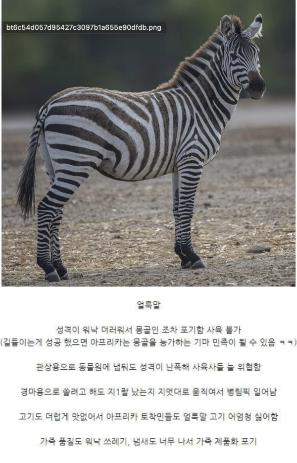 25e30484ee0d4ff7f3e976a8f0efbcae_1759296647_6521.png