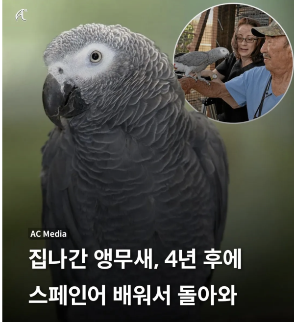 cdfbdcdae911458e2ae33431e3a1277d_1762837085_2443.png