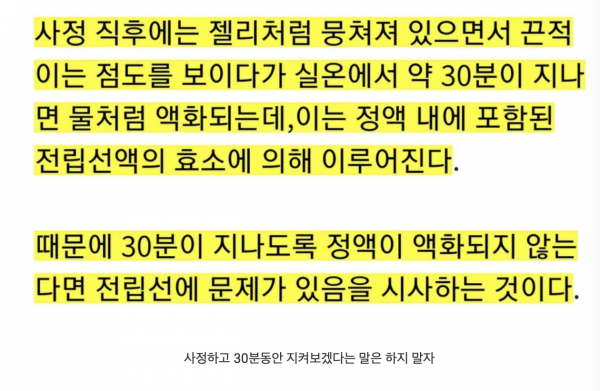 536ff7bedee881fc15f8ee656d68bd1d_1765074575_4375.png