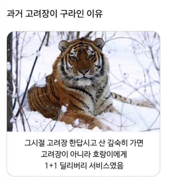 a1657f7bffc830f218053cdb7f1a20a7_1765512392_0755.png