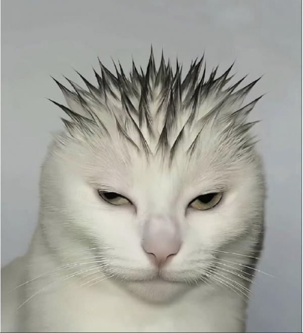 ef7a8aee73adf692f3ec3074ed92befd_1765199620_5937.png