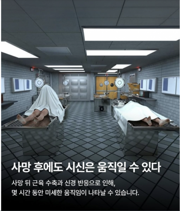 75f94b7151b558eed53a56ace7ff1007_1768188250_0185.png