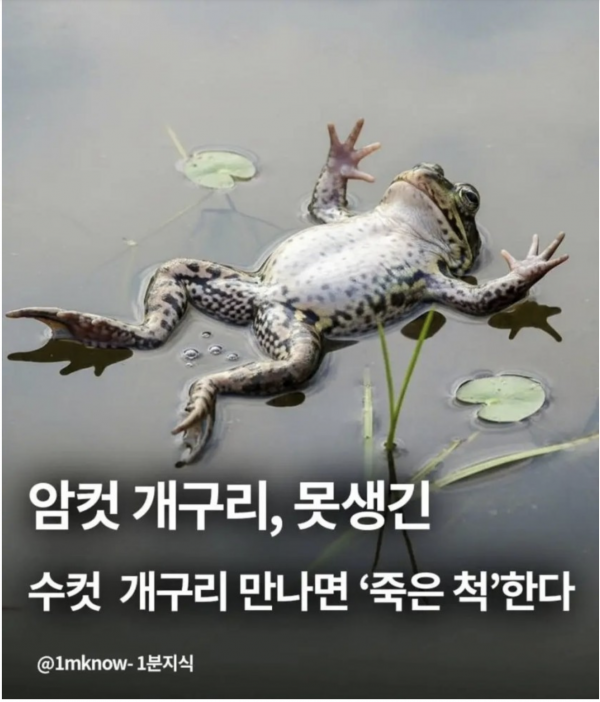 77b9238ab34a180c0c80476a9e284497_1768739167_7474.png