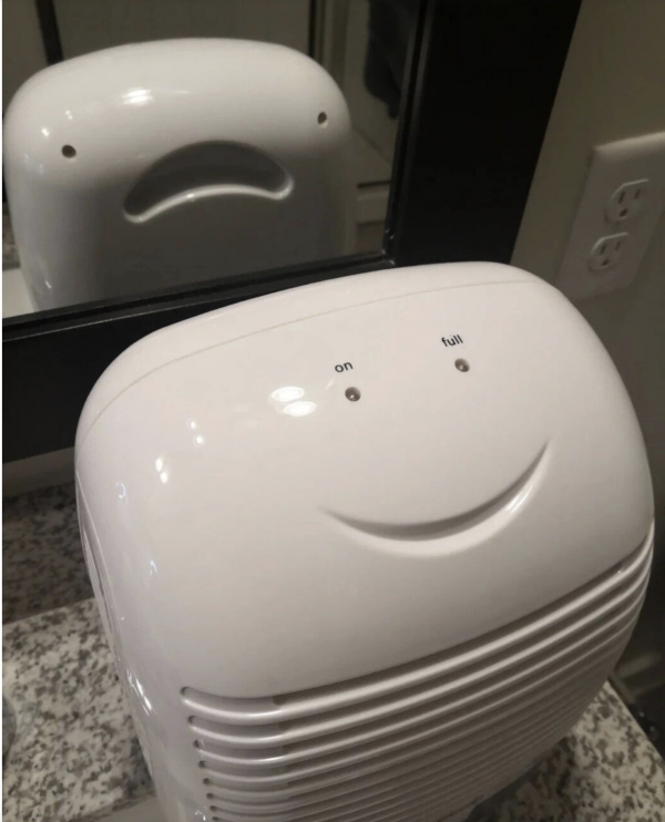117a888c59a19bdd2db1df4aaaf94c49_1771508836_6705.png