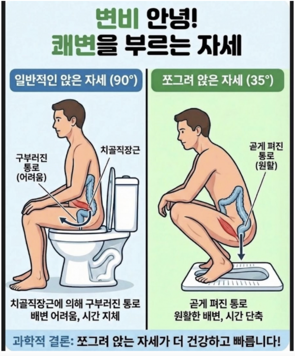 117a888c59a19bdd2db1df4aaaf94c49_1771508948_9619.png