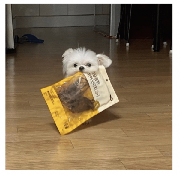 514770547f8d3cd2350abddb84e6bd29_1770181663_2309.png