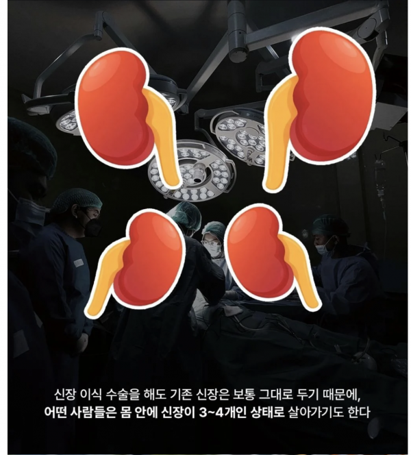 77b9238ab34a180c0c80476a9e284497_1771226364_1696.png