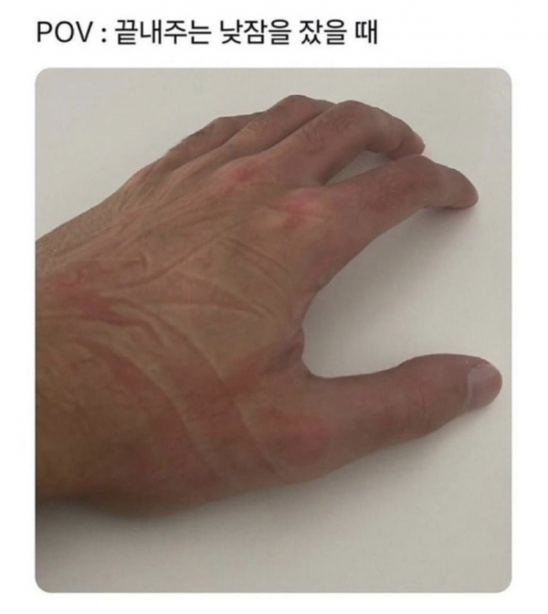 b150c7463b68ead8d6bd4bb935ea92b9_1772811659_2294.png