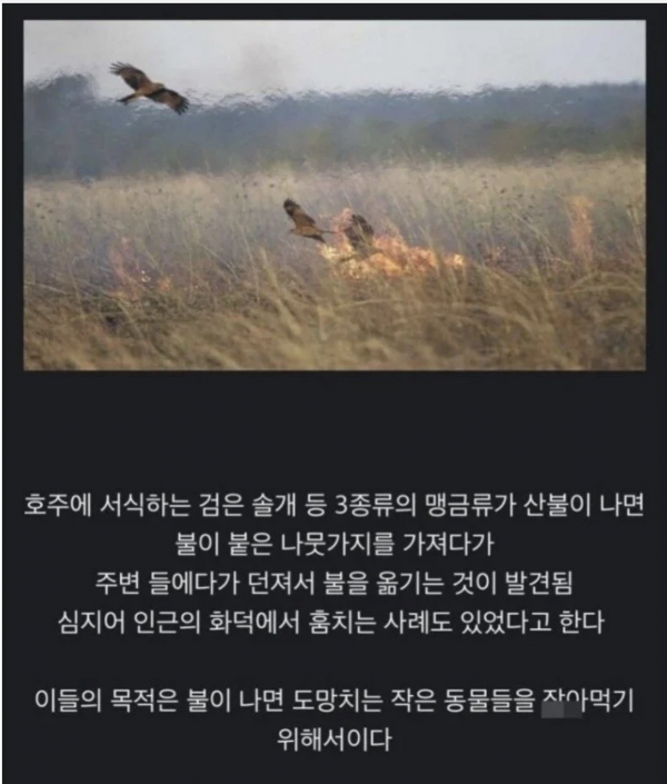 b150c7463b68ead8d6bd4bb935ea92b9_1772811782_6686.png
