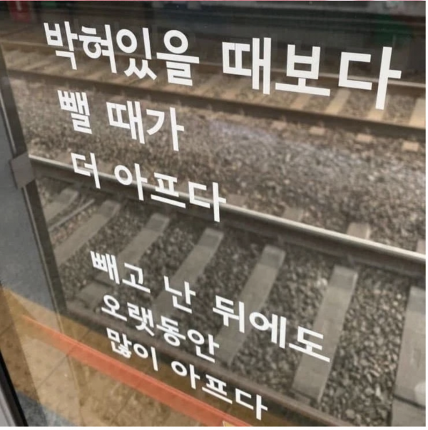 b3a635d579c8dead9a79c2a01562c9c3_1774404380_2826.png