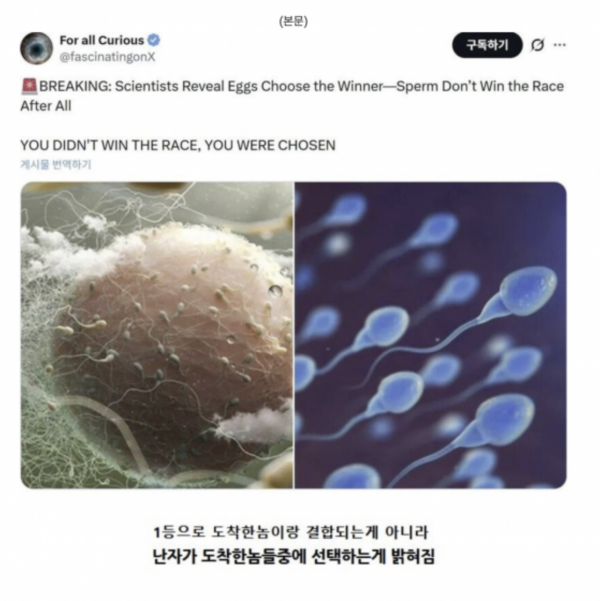 ee578abaa0fc09247e32153167748311_1777862016_4862.png