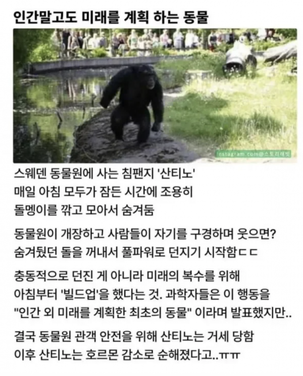 ef7a8aee73adf692f3ec3074ed92befd_1779086204_0678.png