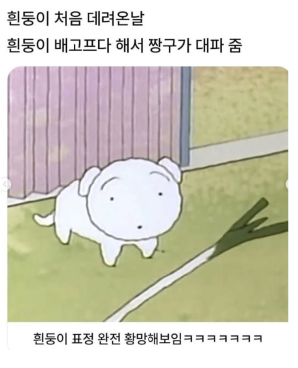 117a888c59a19bdd2db1df4aaaf94c49_1782263238_0865.png