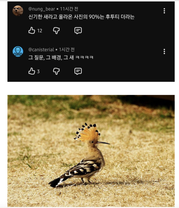 aa09d7310db34fbfb51c4ee737b1dd1a_1781661636_0141.png