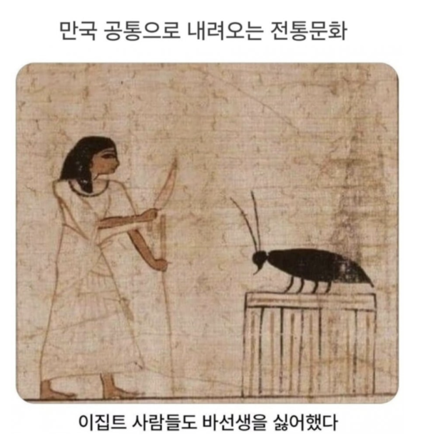 e0fe6db2b7102bb3c5537d413b841588_1780885170_3678.png