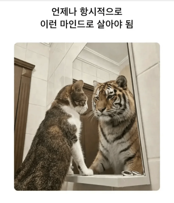 4a35cb59c24656146bcd00c896fc74b8_1783389210_7381.png