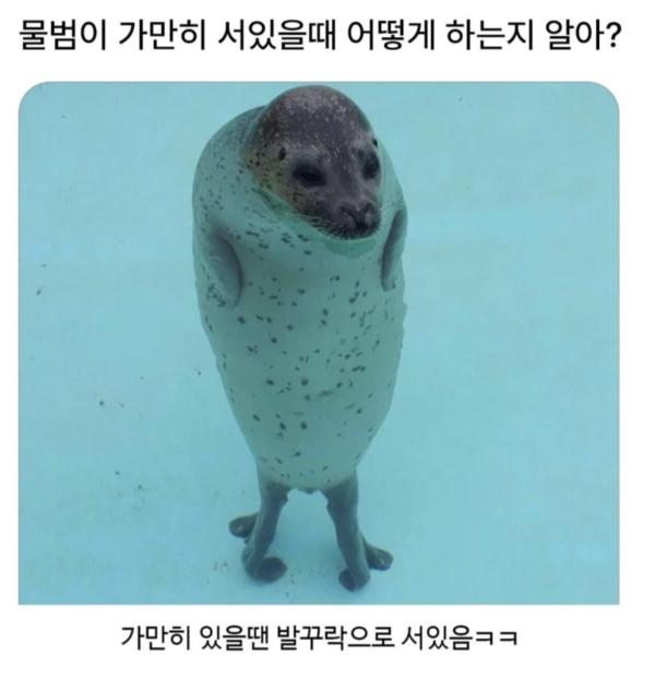 cc189c366d654876dd0ba22fb8882807_1783304044_9825.png